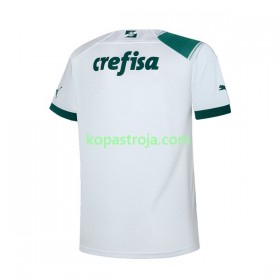 Billiga Fotbollströjor Palmeiras Borta tröja 2023/24 Kortärmad